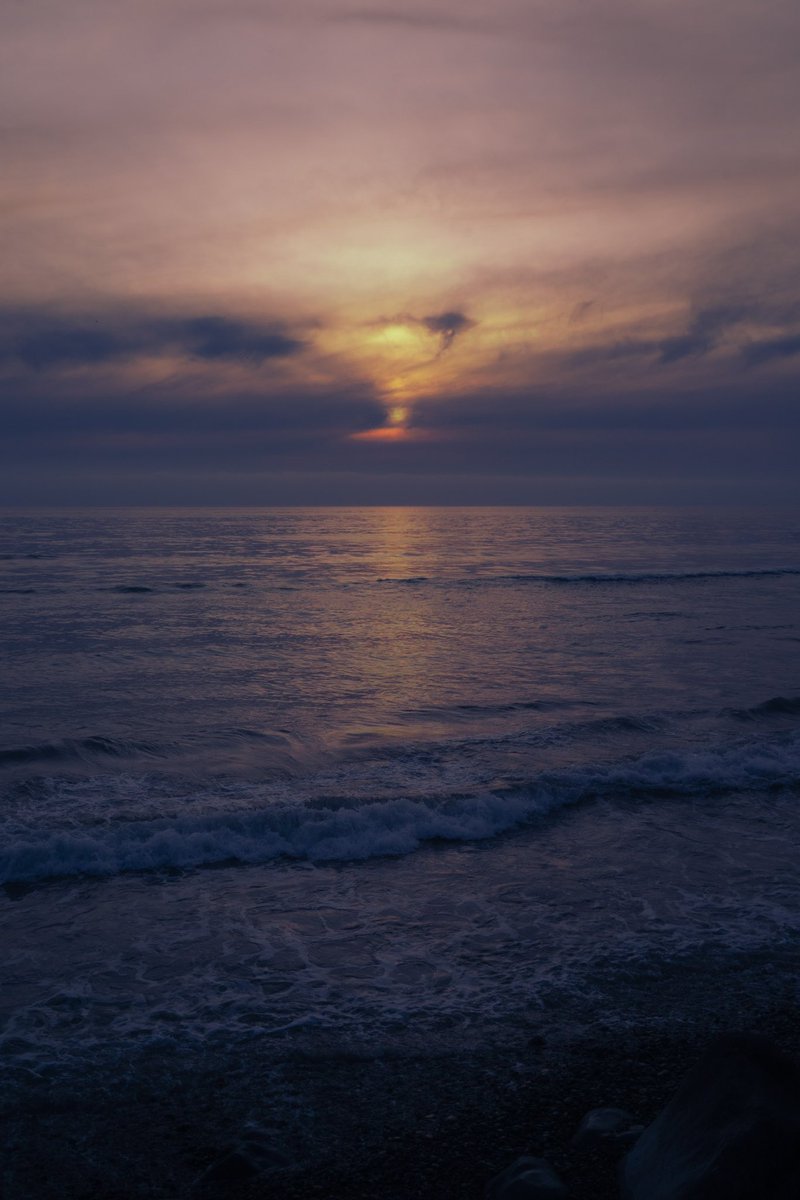 lavender evenings