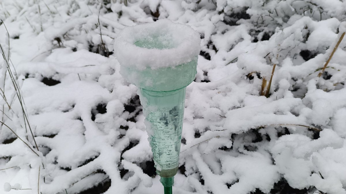 ❄️Així ha quedat aquest pluviòmetre a la zona dels Ports, a les Terres de l'Ebre, ben cobert per la nevada d'avui. FOTO: <a href="/joelduraports/">Joel</a>