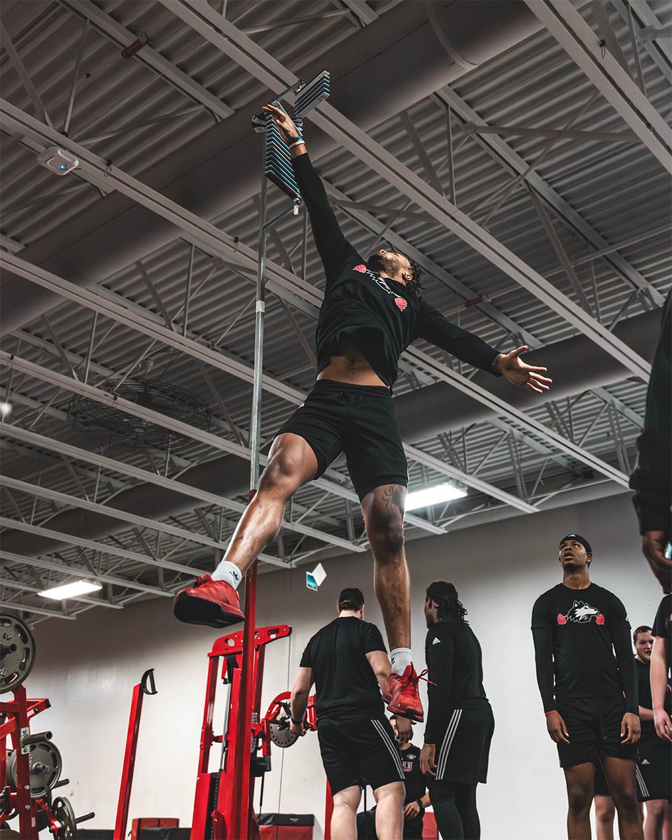 You 🫵 vs. You 🫵

#SOAR | #TheHardWay 🦴🐾