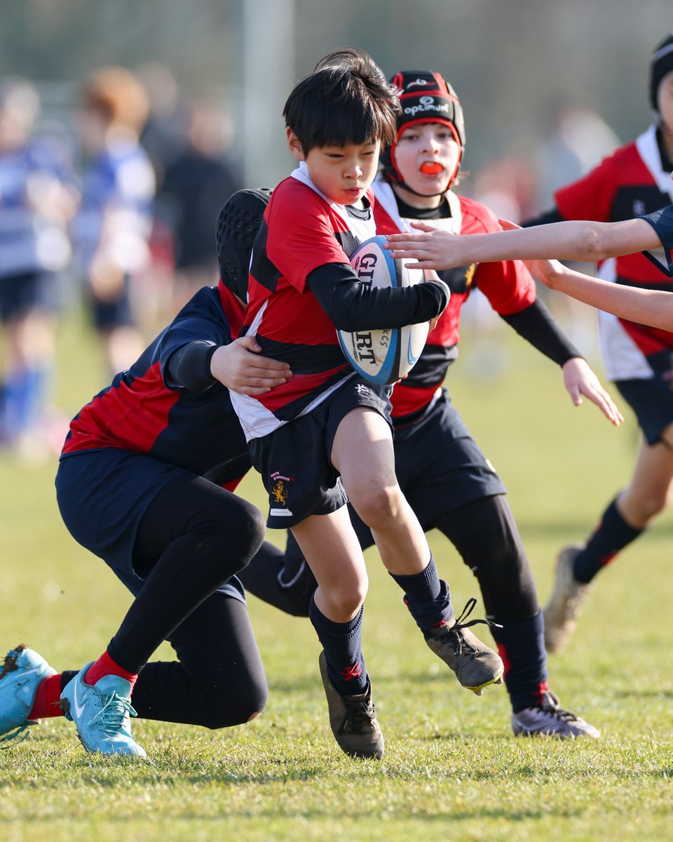 KCJSWimbledon tweet media