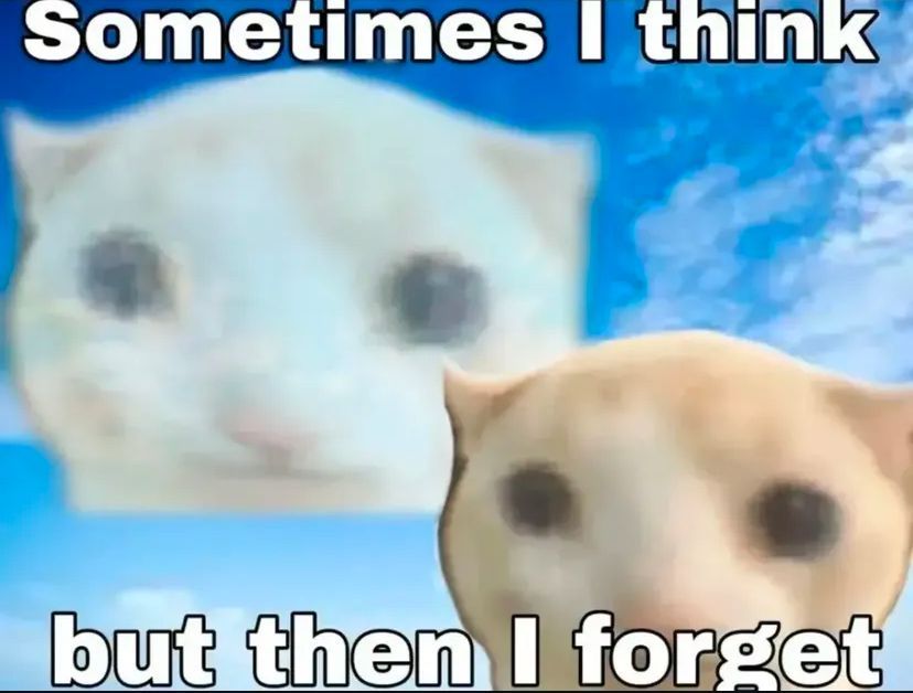 🕐HOURLY🕑 shitpost (@hourly_shitpost) on Twitter photo 