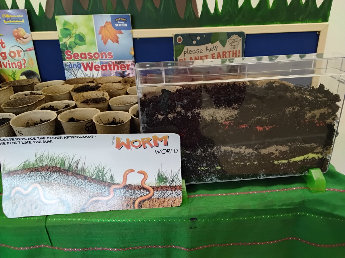MountStewartSch's tweet photo. 🌱This week in science, we explored adapt and change.
🪱We created a wormary to see how worms adapt soil.
🫘Planted broad beans to observe their growth.
🔍Investigating: Will it be grow in cotton wool? In the dark? Stay tuned!
#tmssnursery #tmssscience https://t.co/TnaSFVF8zS