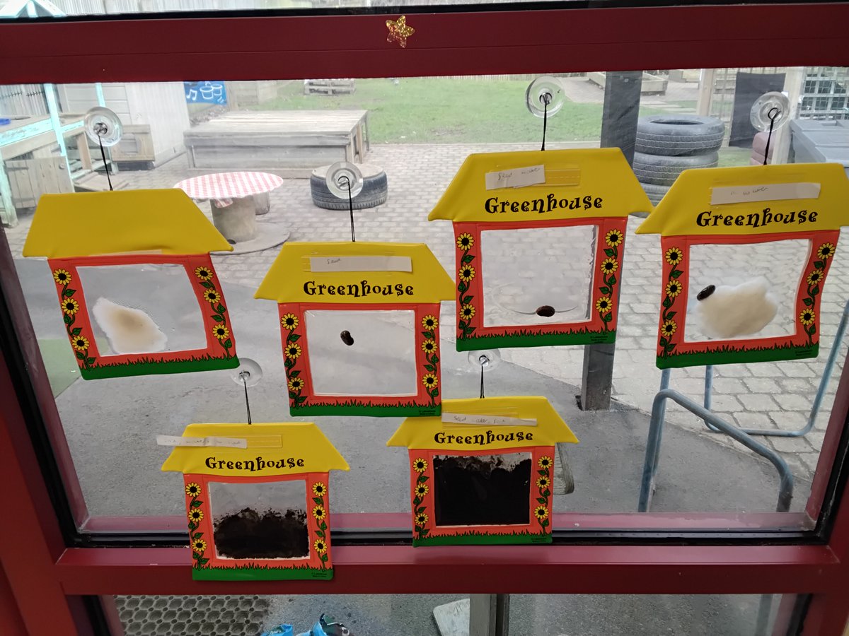 MountStewartSch's tweet photo. 🌱This week in science, we explored adapt and change.
🪱We created a wormary to see how worms adapt soil.
🫘Planted broad beans to observe their growth.
🔍Investigating: Will it be grow in cotton wool? In the dark? Stay tuned!
#tmssnursery #tmssscience https://t.co/TnaSFVF8zS