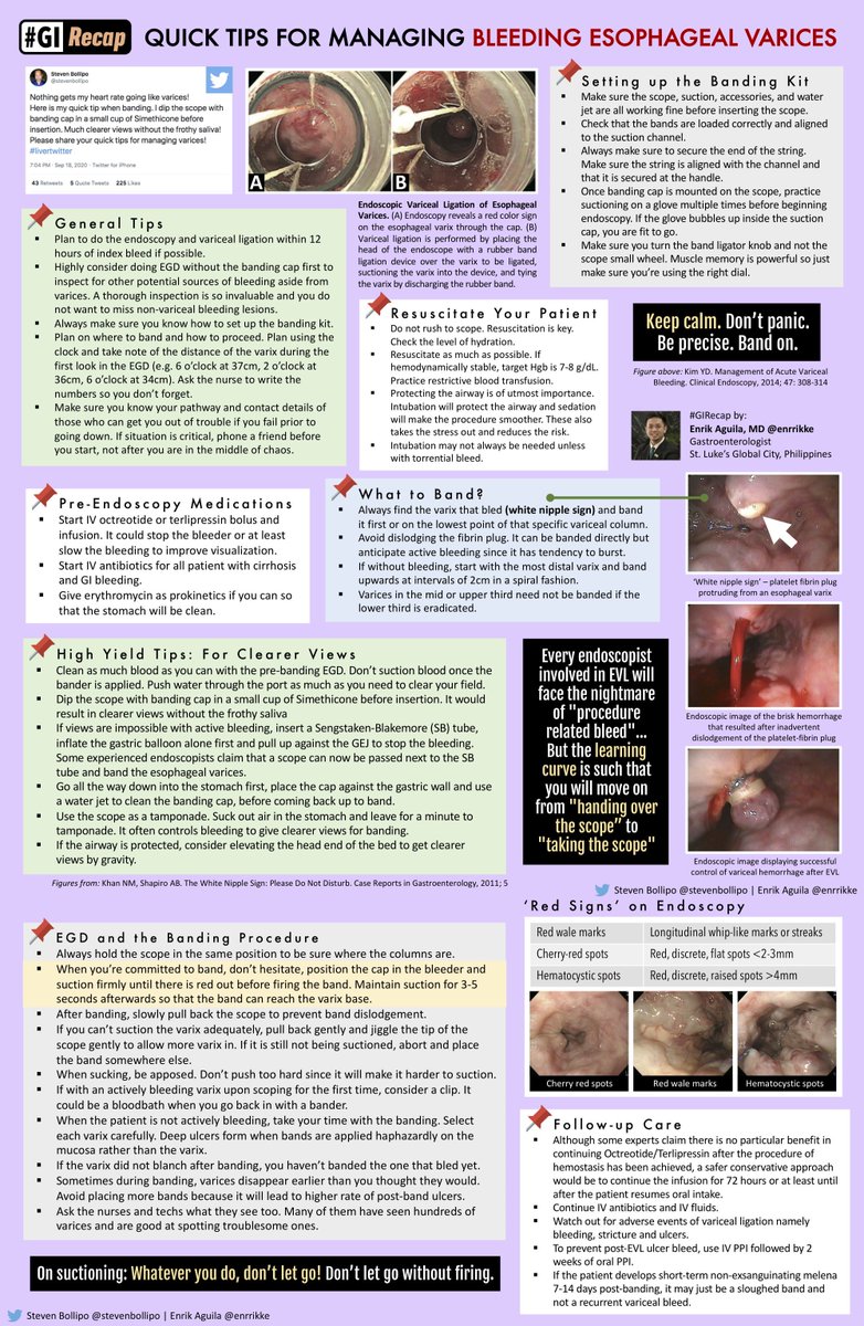 Tips on endoscopic management of variceal bleeding 🩸💡
📸: <a href="/ScopingSundays/">#ScopingSundays</a> <a href="/enrrikke/">Enrik Aguila</a> <a href="/stevenbollipo/">Steven Bollipo</a>