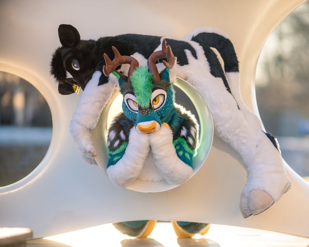 Klonkey Donkey (@klonkthedonk) on Twitter photo Fursuit Friday: A Pasture Pair 🦌🐄
<a href="/Silkyfur1/">Silkyfur🔜CFz. Find me at the blue place!</a>
#fursuifriday
📸 🦋Captainchaotika Fursuit Friday: A Pasture Pair 🦌🐄
<a href="/Silkyfur1/">Silkyfur🔜CFz. Find me at the blue place!</a>
#fursuifriday
📸 🦋Captainchaotika