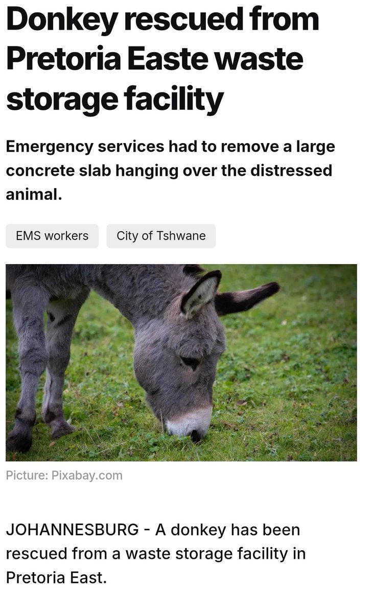 Dr Nasiphi Moya tweet media