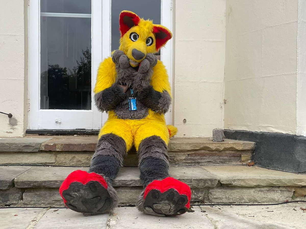 YellowFluffDog's tweet photo. Happy #FursuitFriday. Doggy needy for walkies and attention. Xxx

#FursuitFriday #fursuit #fursuiter #fursuiter #fursuithead #FursuitEveryday #furry #furryfanom https://t.co/1SNFlQONWi