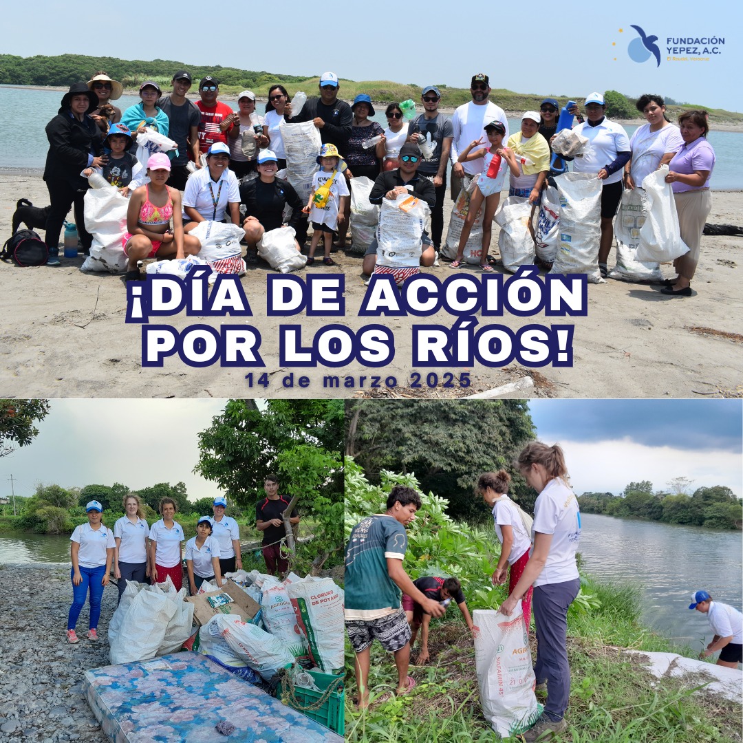 Los ríos, una de las principales fuentes de agua, el recurso natural más importante. Continuemos cuidando y respetando nuestros ríos mexicanos y del mundo ¡Día de Acción por los Ríos! 14 de Marzo 2025.