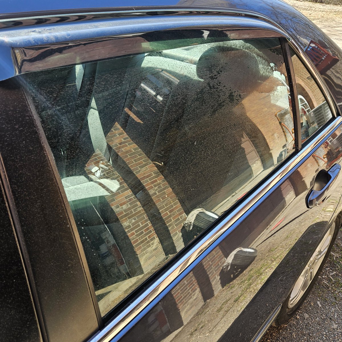 Jason 🌰 🌪 tweet media