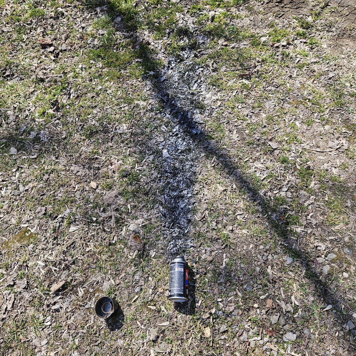 Jason 🌰 🌪 tweet media