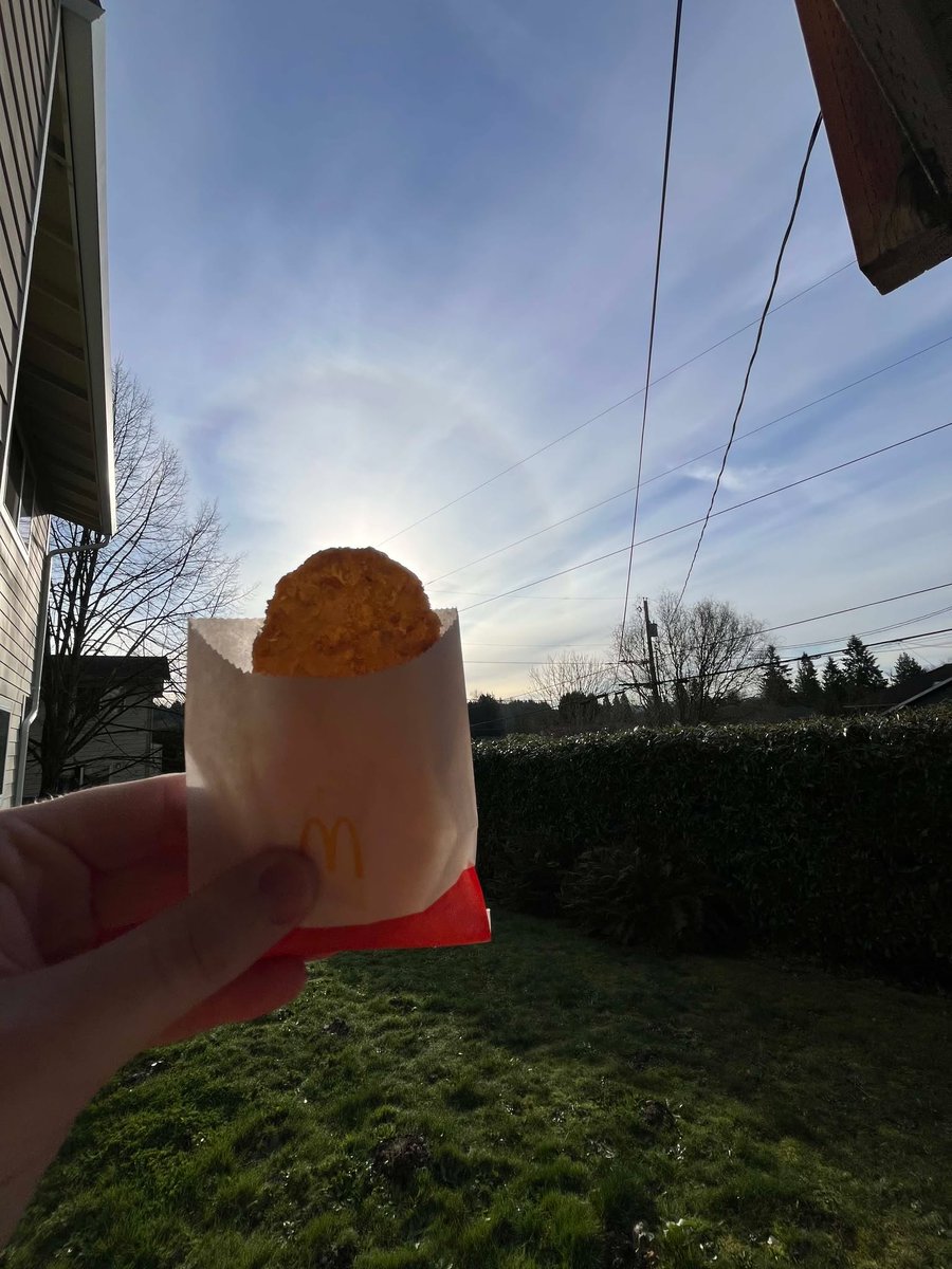 Monkey Jake ☀️ tweet media