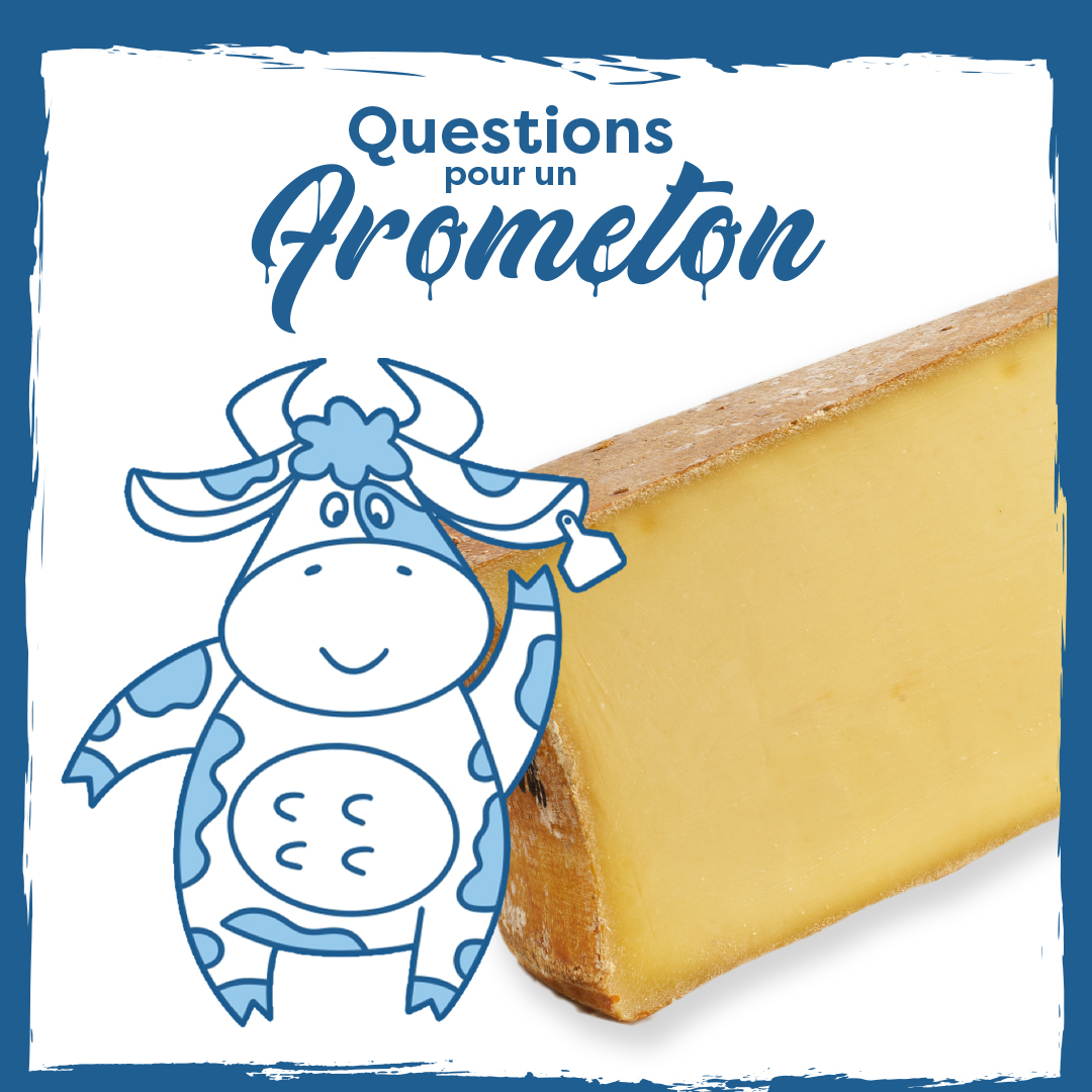 Les produits laitiers des Alpes au Massif-Central tweet media