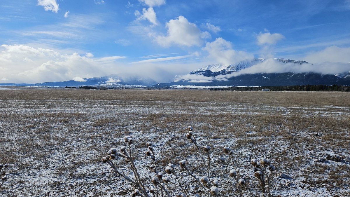 VviewSsonicMair's tweet image. #WorldlyThings 🤍