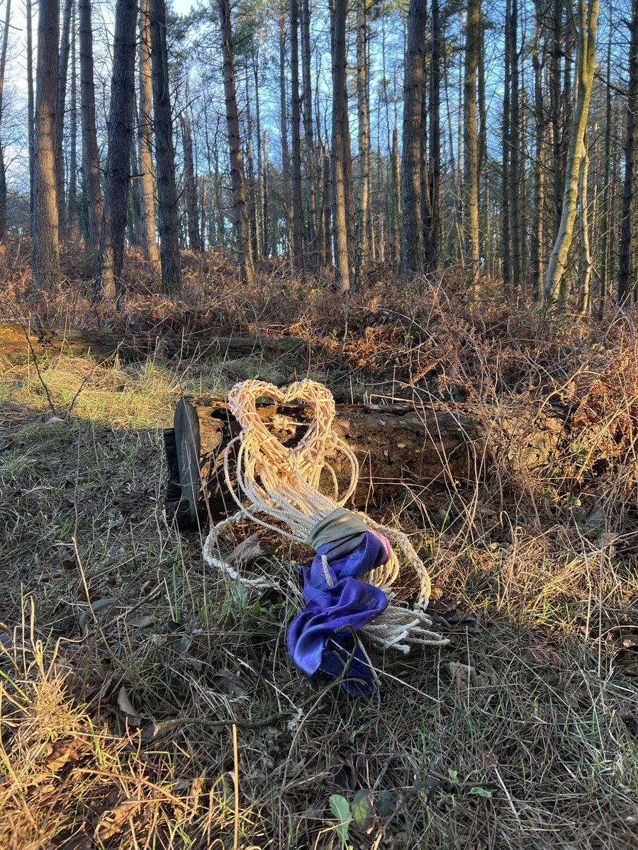 Joy Gill xRGN #SacredoilswithJoy tweet media