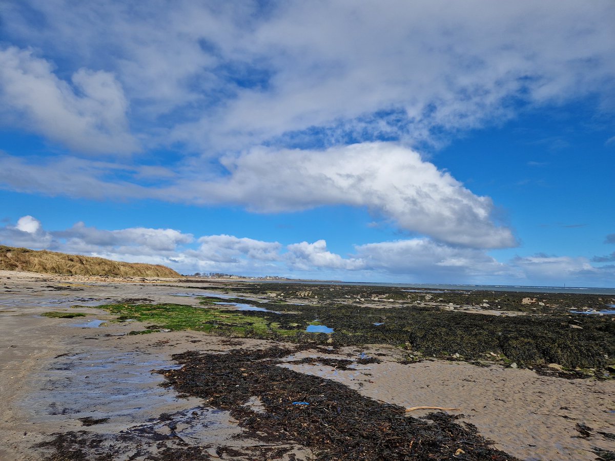 Natural Derbyshire Tours (@toursnatural) on Twitter photo Another excellent wader filled walk up to Boulmer on the Northumberland coast today - with Barwit, Sanderling, Ringed Plover, Dunlin, Curlew & Turnstone all showing well and a Purple Sandpiper was new for the year as were 2 Gannets <a href="/ForShorebirds/">Space for Shorebirds Northumberland</a> <a href="/NorthWildlife/">Northumberland Wildlife Trust</a> <a href="/NTBirdClub/">Northumberland & Tyneside Bird Club</a> Another excellent wader filled walk up to Boulmer on the Northumberland coast today - with Barwit, Sanderling, Ringed Plover, Dunlin, Curlew & Turnstone all showing well and a Purple Sandpiper was new for the year as were 2 Gannets <a href="/ForShorebirds/">Space for Shorebirds Northumberland</a> <a href="/NorthWildlife/">Northumberland Wildlife Trust</a> <a href="/NTBirdClub/">Northumberland & Tyneside Bird Club</a>