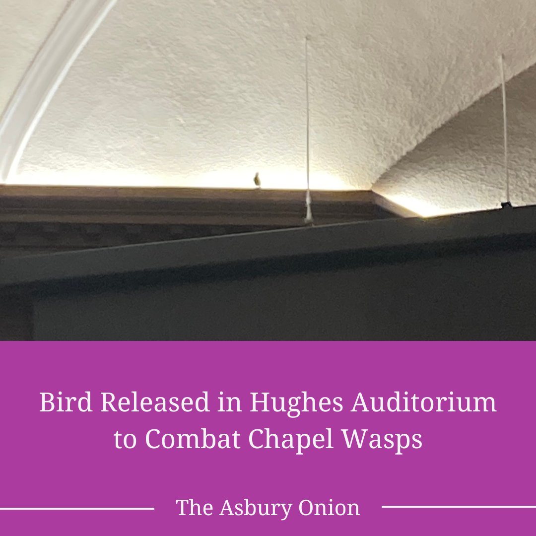 Bird Released in Hughes Auditorium to Combat Chapel Wasps