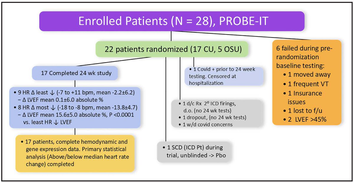 Heart rate matters. Great collaboration with Mike Bristow and many others. Clinical trial, endomyocardial biopsies, new molecular mechanisms of reverse remodeling in the human heart. ahajournals.org/doi/epub/10.11…