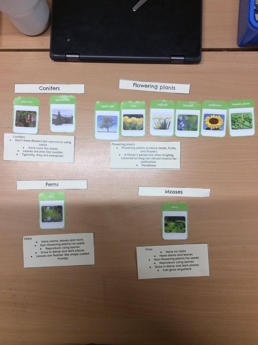 Mr Branchette (@mr_branchette) on Twitter photo Sweets, animals, plants - can they be sorted into different groups according to their characteristics? You betcha! Micklegate <a href="/HaxbyRoad/">Haxby Road Academy</a> delved into the world of classification for British Science week. Sweets, animals, plants - can they be sorted into different groups according to their characteristics? You betcha! Micklegate <a href="/HaxbyRoad/">Haxby Road Academy</a> delved into the world of classification for British Science week.