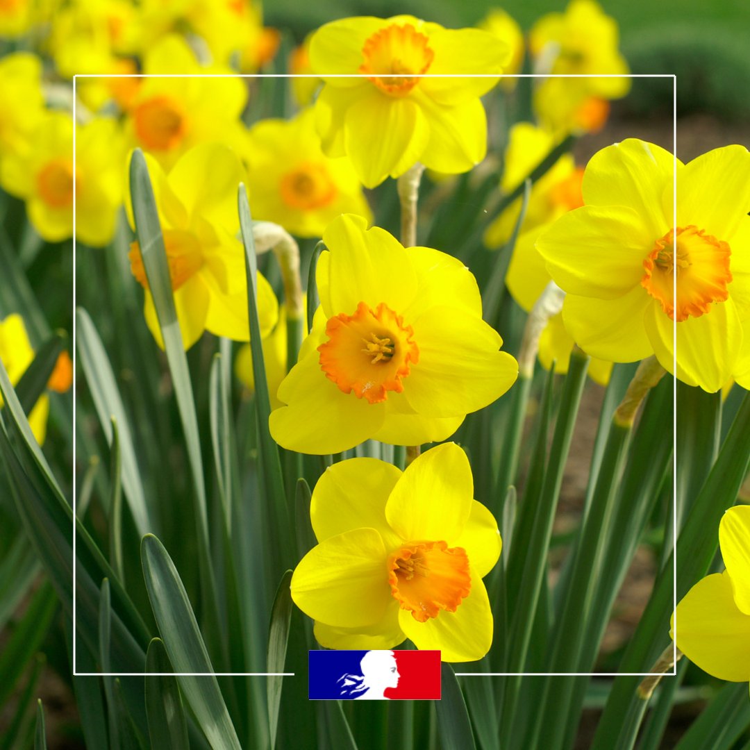 Image de Préfet de la Savoie