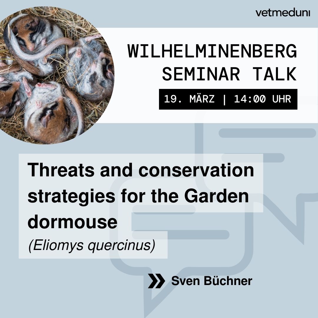 Nächster #WilhelminenbergSeminarTalk: 19.3. | 14:00 Uhr mit Sven Büchner/Justus-Liebig-Universität Gießen 🐭
📍<a href="/FIWIvienna/">FIWI Vienna</a>, 1160 Wien oder online
→ vetmeduni.ac.at/fiwi/seminar-a…
📢 Tipp für Studierende: Die Teilnahme kann als Wahlfach anerkannt werden! (KV 128 804)