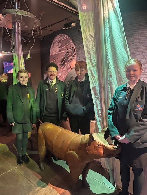 Down High School tweet media