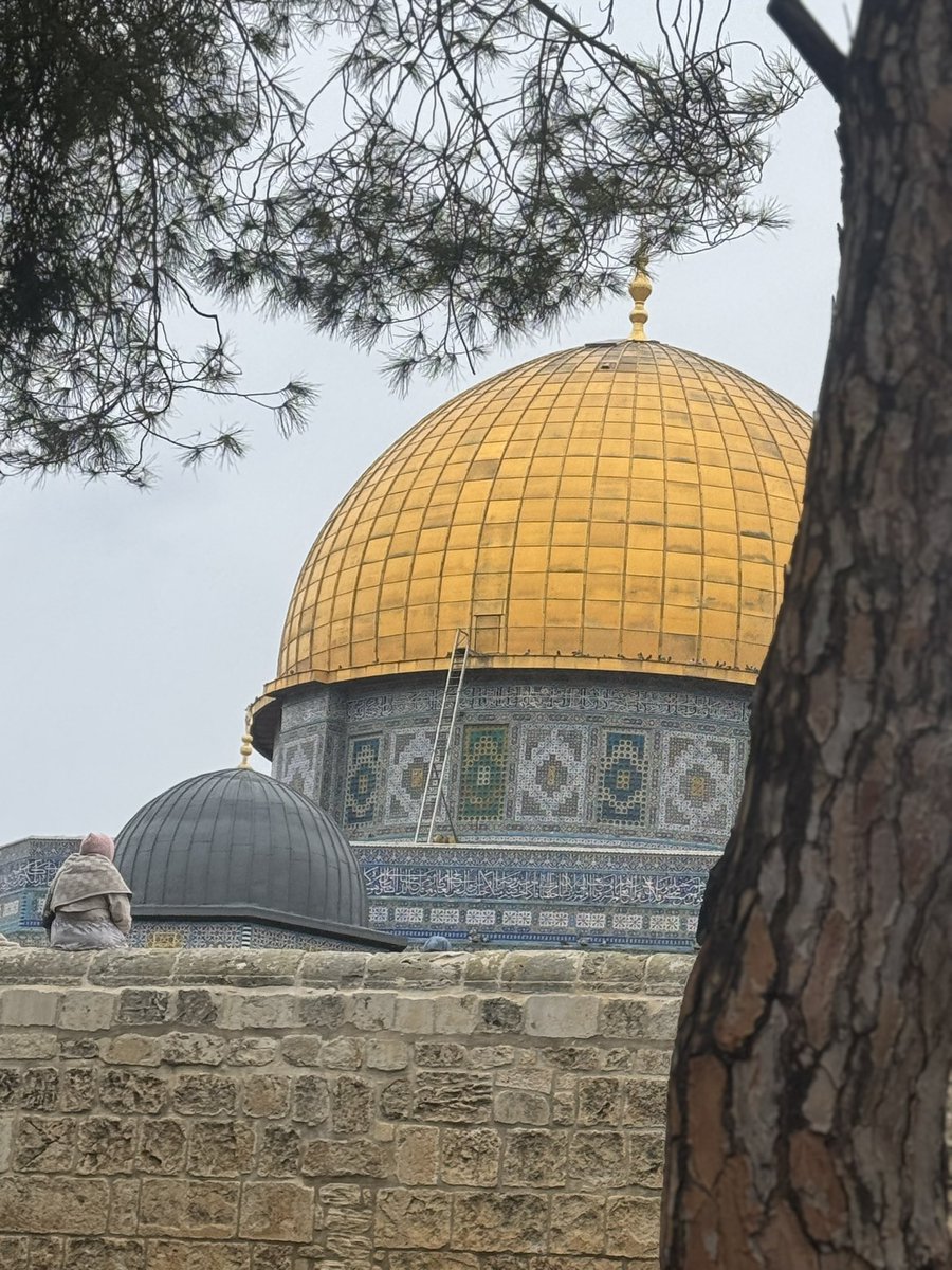 14/03/2025 
المسجد الأقصى ♥️