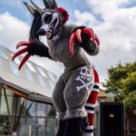 Photo by shapeshifting thing (@bigclawdemon)