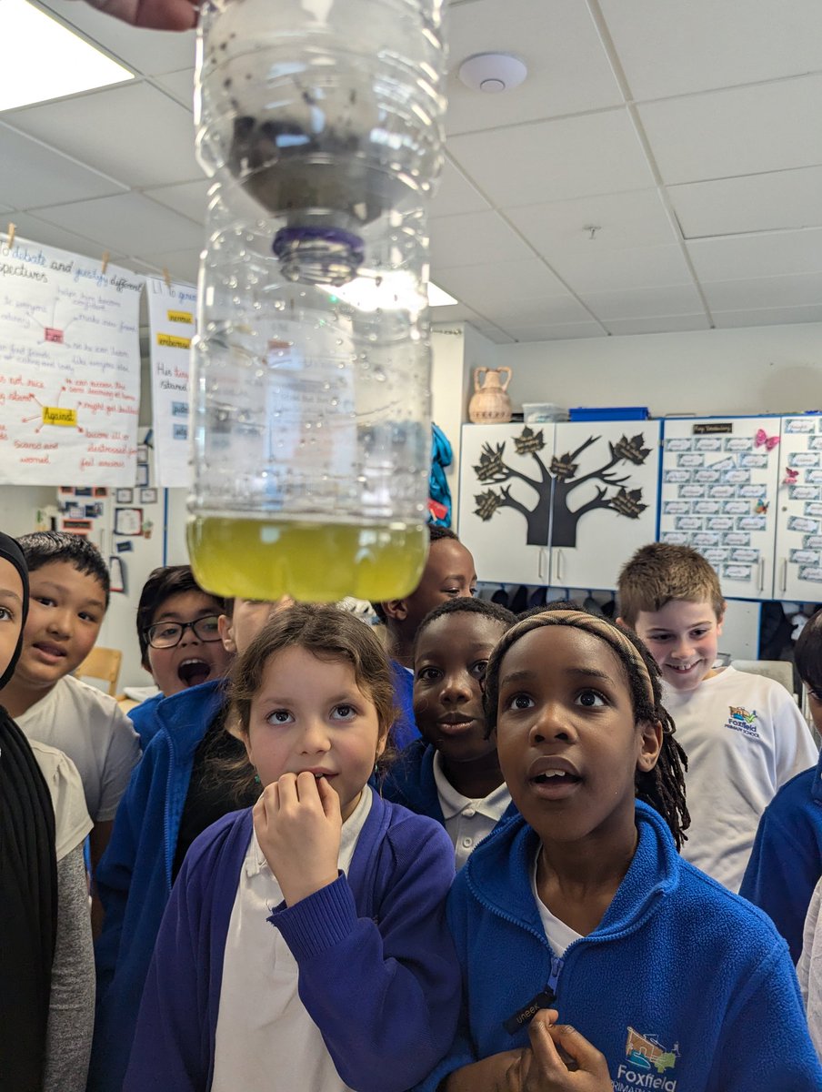 Foxfield - Year 4 tweet media