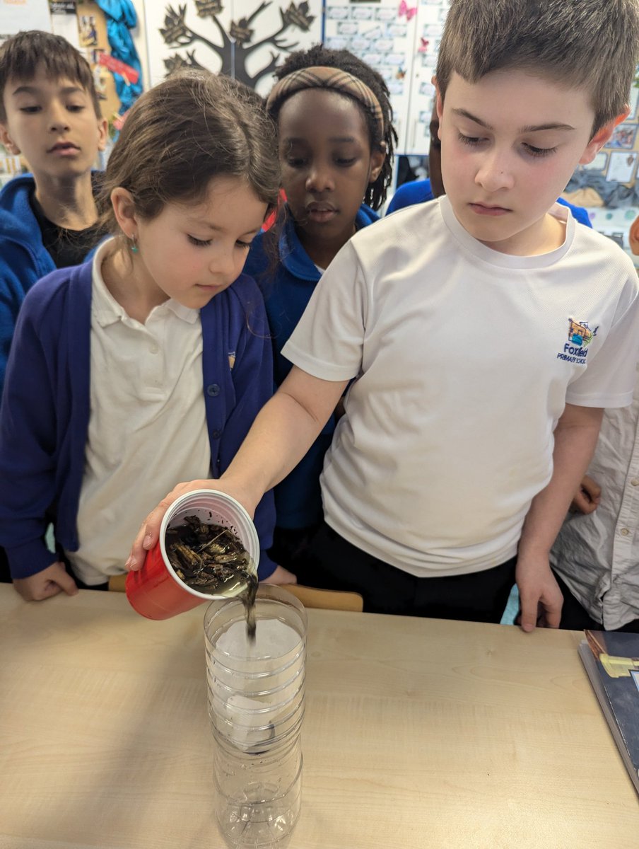 Foxfield - Year 4 tweet media