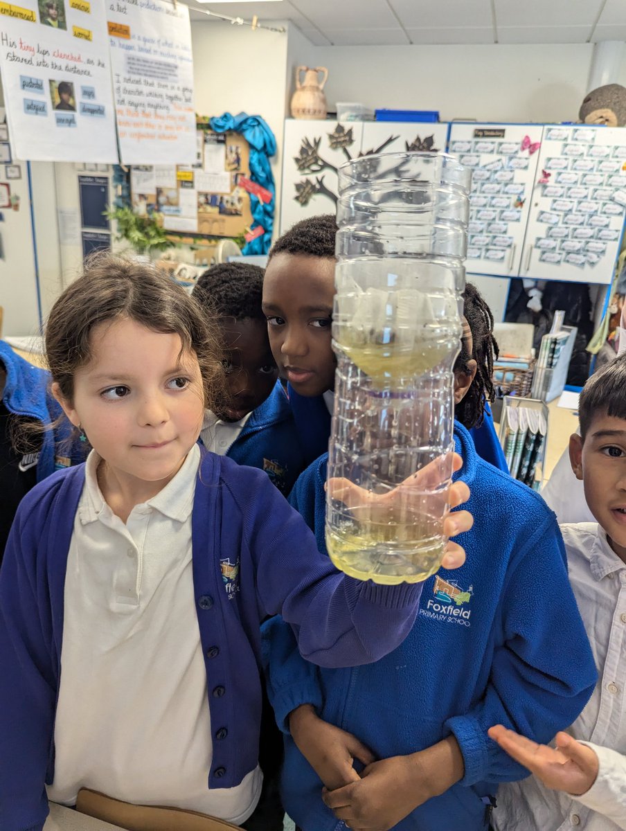 Foxfield - Year 4 tweet media