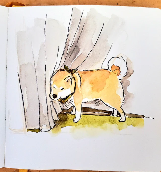 カーテンをめくりにきた犬 
