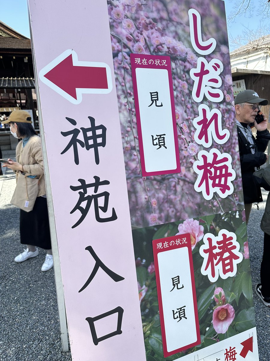 【城南宮】
しだれ梅と椿が満開でとても綺麗でした🌺
京都の自然や文化をもっと知りたい！
オススメのスポットやグルメ教えて下さい🙏
コメント待ってます📝

instagram.com/p/DHLeU-KPAbS/…

<a href="/amitie_top/">おこしやす京都AC【公式】</a> 

#おこしやす京都ac 
#おこしやす京都 
#伊東稜晟 
#未来は明るい 
#城南宮 
#しだれ梅 
#椿