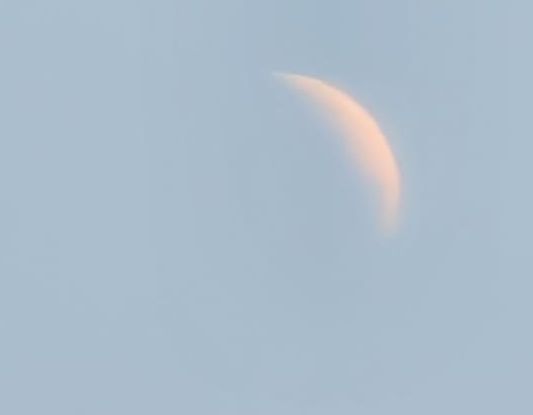 Royal Astronomical Society (@royalastrosoc) on Twitter photo Did you see the lunar eclipse this morning? If so, tag us in your pics or email them to press@ras.ac.uk! 🌑
Here are a few from <a href="/RoyalAstroSoc/">Royal Astronomical Society</a> Deputy Executive Director Dr Robert Massey... Did you see the lunar eclipse this morning? If so, tag us in your pics or email them to press@ras.ac.uk! 🌑
Here are a few from <a href="/RoyalAstroSoc/">Royal Astronomical Society</a> Deputy Executive Director Dr Robert Massey...