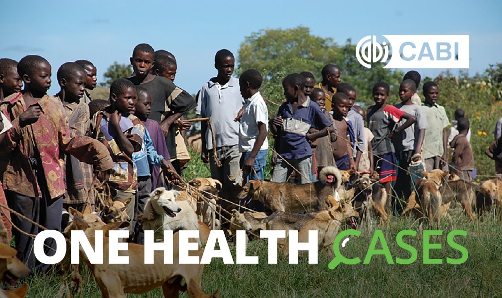 CASE STUDY:
Experts highlight simple, effective ways for rabies control in 🇹🇿

Rabies can be eliminated with sustained dog vaccinations! A case study by <a href="/UniofOxford/">University of Oxford</a>, <a href="/ifakarahealth/">Ifakara Health Institute</a>, <a href="/UofGlasgow/">University of Glasgow</a>, and <a href="/WSUPullman/">WSU Pullman</a>, reports how the One Health approach which involves multi-sectoral