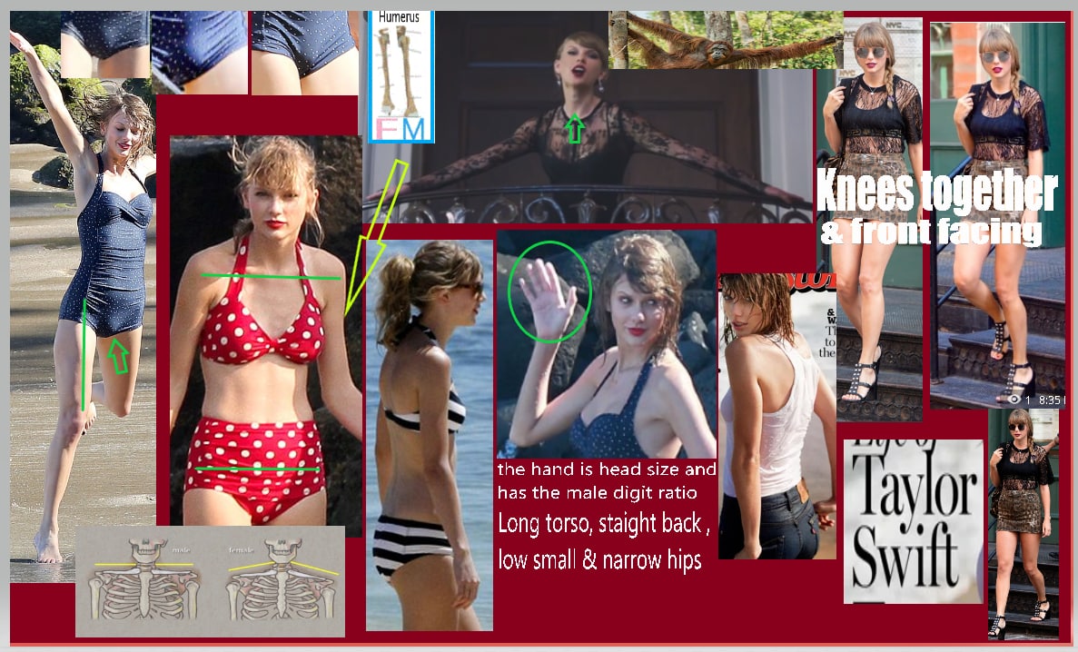 PatriotArmory tweet media