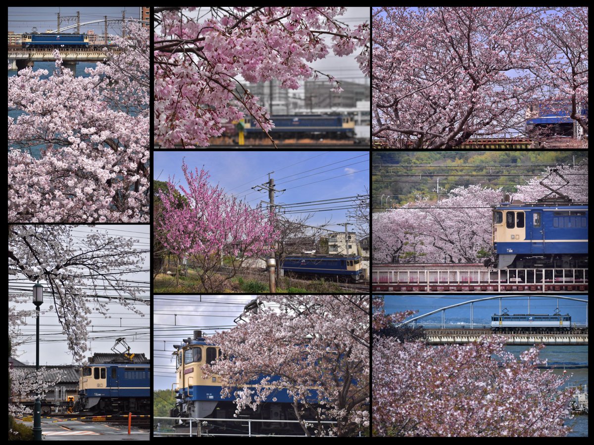Sakufam_el's tweet photo. 5087レを中心とするEF65の四国運用は自分にとって、京都に住んでいた4年間の日常でした。
特にこだわったのは、四季折々の景色の中を走る姿を残すこと。現地で立ち位置や構図を試行錯誤する時間は本当に楽しいものでした。 https://t.co/xVwE2NTipy