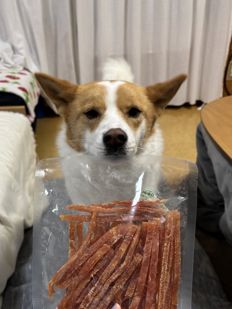 inullnuit (@inullnuit) on Twitter photo 