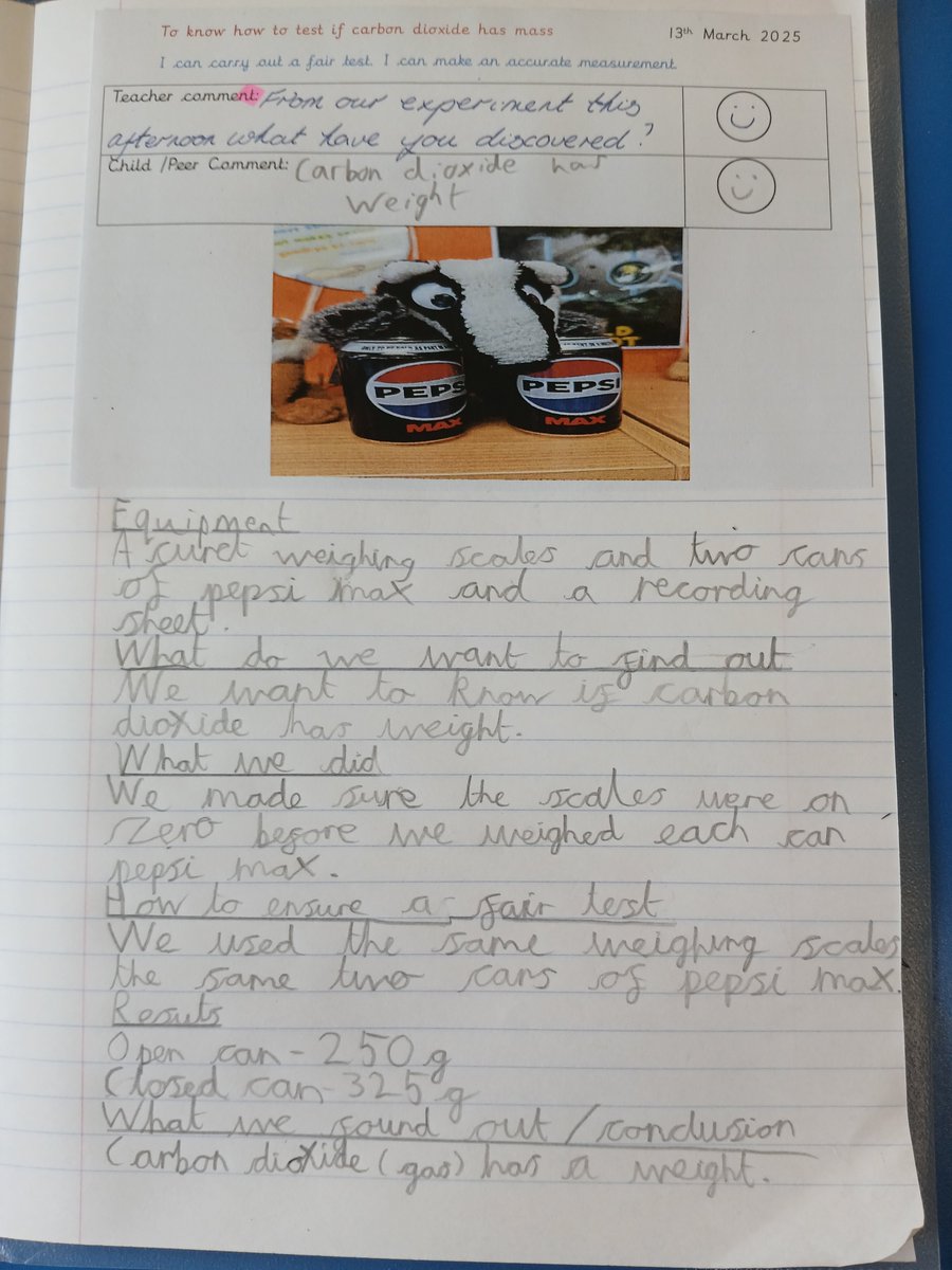 Winchelsea Year Four tweet media