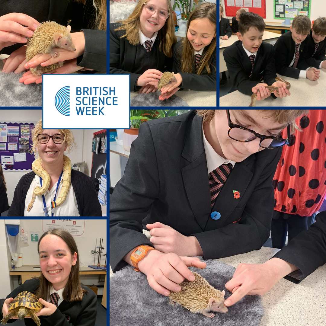 Roundwood_Park's tweet photo. Safari Stuβs visit did not disappoint! Everyone loved interacting with the wildlife, thank you Science team
#rpsscience #britishscienceweek https://t.co/B27Z6R8rPp