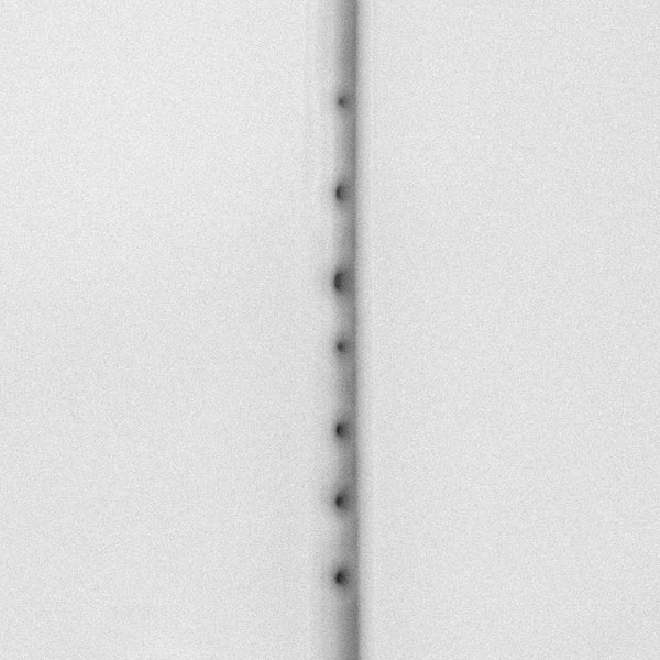 Joshua Minsoo Kim tweet media