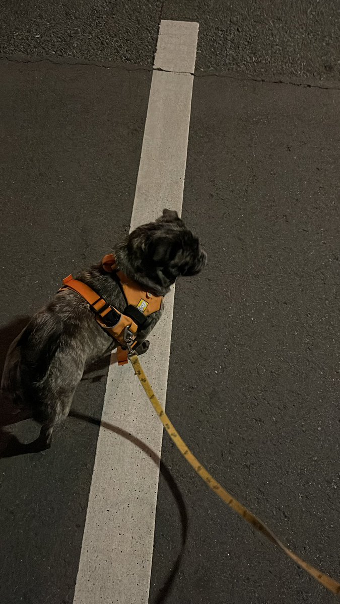 Coinchomp tweet media