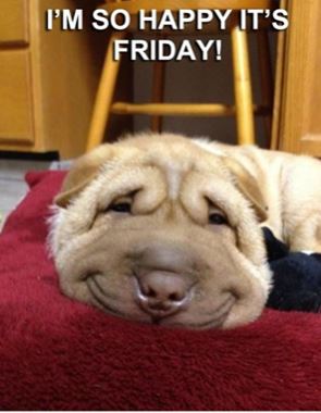 Am thinking is already a week ago attending the fantastic #LoveBiz IWD and Awards Afternoon last Friday 😀
Have a good day and not long until wine o'clock 🍷🥂🍻😀
#springiscoming
#weekendroundthecorner