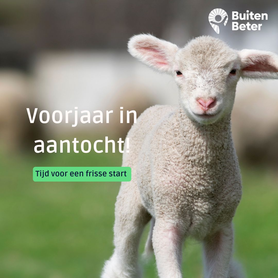 Met het zonnetje van de afgelopen week voelen we het allemaal: de lente komt eraan! 🌞 Maar hoe zit het met jouw buurt? Zie je zwerfafval, volle prullenbakken of schade in de openbare ruimte? Meld het via de BuitenBeter app. Zo zorgen we samen voor een schone en frisse buurt 🌷