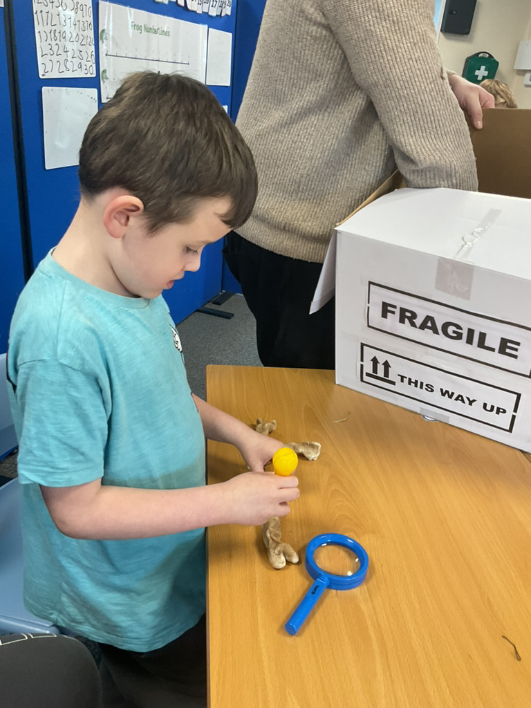 NewsteadAcademy's tweet photo. As part of Science Week children at Hunnigley have been helping Professor Scout discover more about dinosaurs by using their observational skills to investigate fossils. They had an exciting delivery! https://t.co/n4ZXhOl1ZL