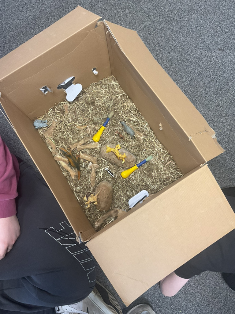 As part of Science Week children at Hunnigley have been helping Professor Scout discover more about dinosaurs by using their observational skills to investigate fossils. They had an exciting delivery!