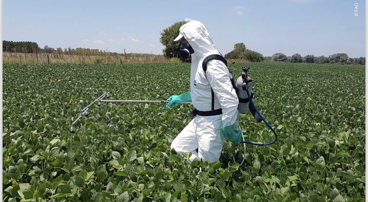yurdi_yasmi's tweet image. With up to 40% of crops lost annually costing the global economy over $220 billion yearly due to #pests and #diseases, effective pest management is crucial for safeguarding access to nutritious food and supporting #livelihoods

#OneHealth #foods #Production