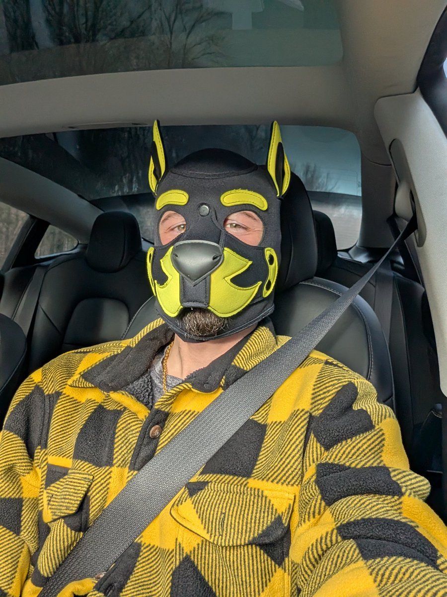 Content from nicwoh