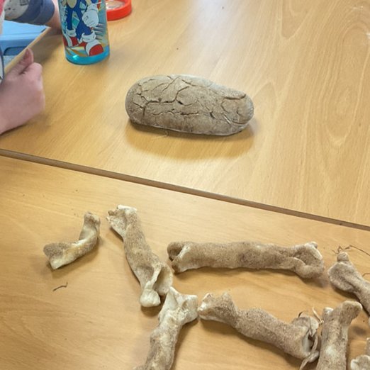 NewsteadAcademy's tweet photo. As part of Science Week children at Hunnigley have been helping Professor Scout discover more about dinosaurs by using their observational skills to investigate fossils. They had an exciting delivery! https://t.co/n4ZXhOl1ZL