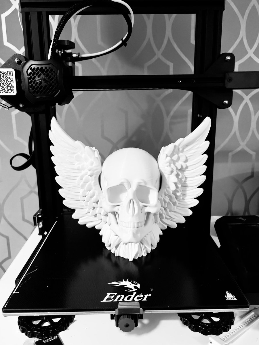 ramitdownxxx's tweet photo. That took far too long to print 💀 https://t.co/Cw2d4FKCC9