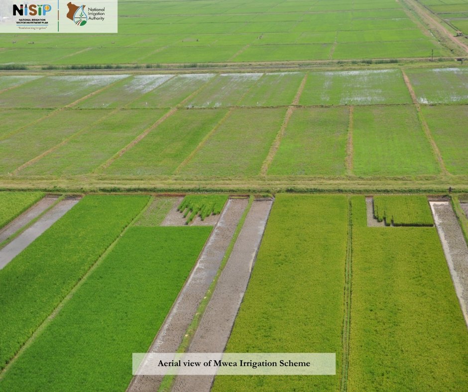 CopyThatKE's tweet image. Kenya spends billions importing food—yet we have enough land and water to produce our own. #InvestInIrrigation

The National Irrigation Sector Investment Plan (NISIP), launching March 21, 2025, at KICC from 9 AM, is about self-sufficiency. #RevolutionizingIrrigation

If countries…